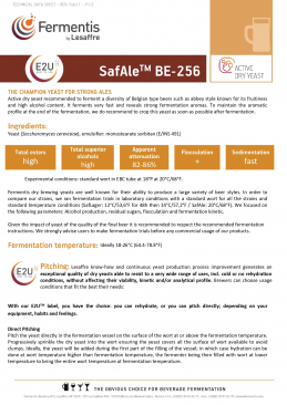 SafAle™ BE-256 Abbaye Dry Brewing Yeast - 11.5 grams