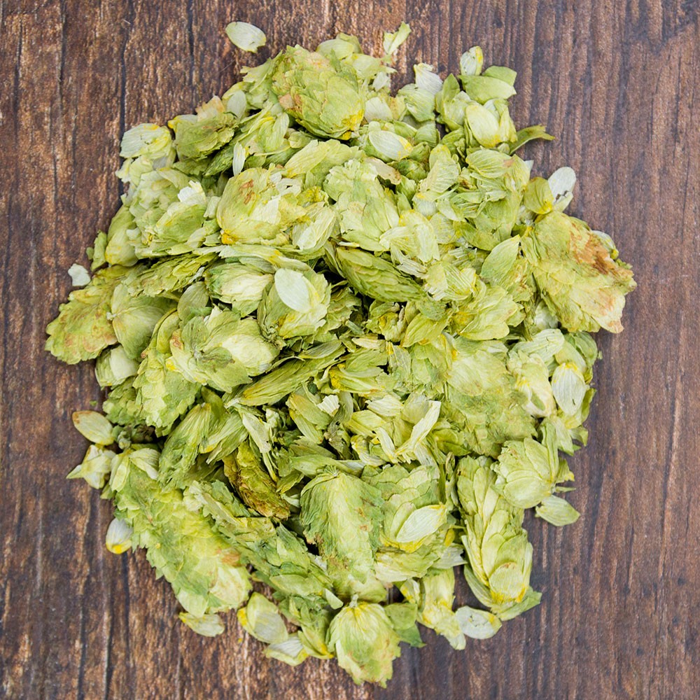 Hopunion US Leaf Hops 1 LB For Beer Making Cascade > North Mountain Supply