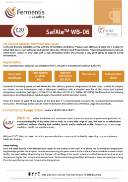 SafAle™ WB-06 Dry Wheat Beer Yeast - 11.5 grams