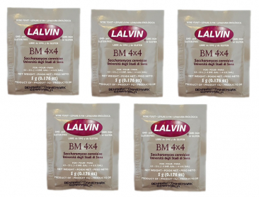 Lalvin BM 4x4 Active Freeze Dried Wine Yeast - 5 Pack