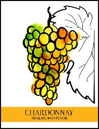 Wine Labels 30 Pack - Chardonnay
