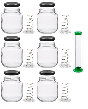 North Mountain Supply Vegetable Fermentation Kit with Pounder - Half Gallon Jar, Spring Weight with Press, and Black Plastic Lid - Set of 6