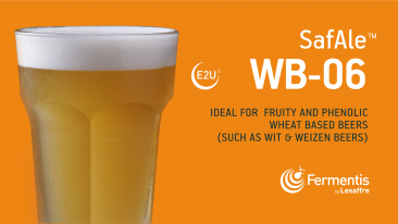 SafAle™ WB-06 Dry Wheat Beer Yeast - 11.5 grams