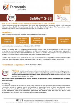 SafAle™ S-33 Dry Brewing Yeast - 11.5 grams