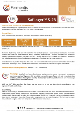 SafLager™ S-23 Dry Lager Yeast - 11.5 grams
