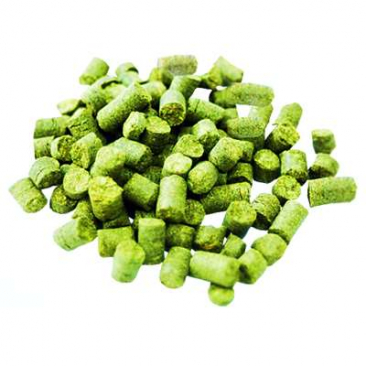 Hopunion Imported Hop Pellets 1 oz - For Beer Making - German Hallertau