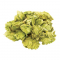 Hopunion US Leaf Hops 1 oz - For Beer Making - Norther Brewer