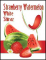 Fruit Wine Labels 30 Pack - Strawberry Watermelon White Shiraz